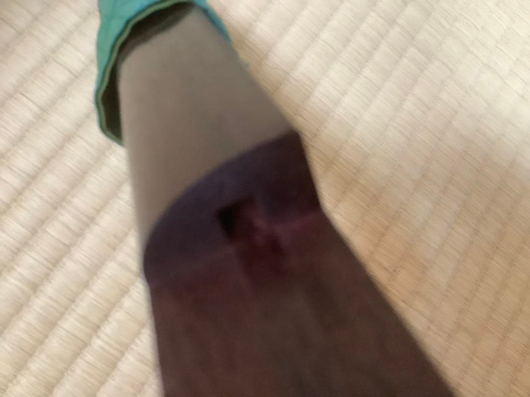 珍品 コンパクト長唄三味線(四つ折れ)