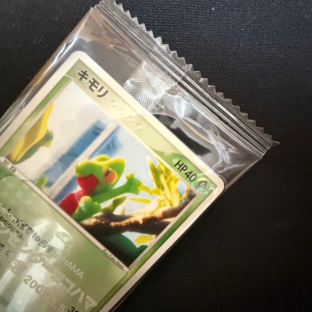 ポケモンセンターヨコハマ キモリ