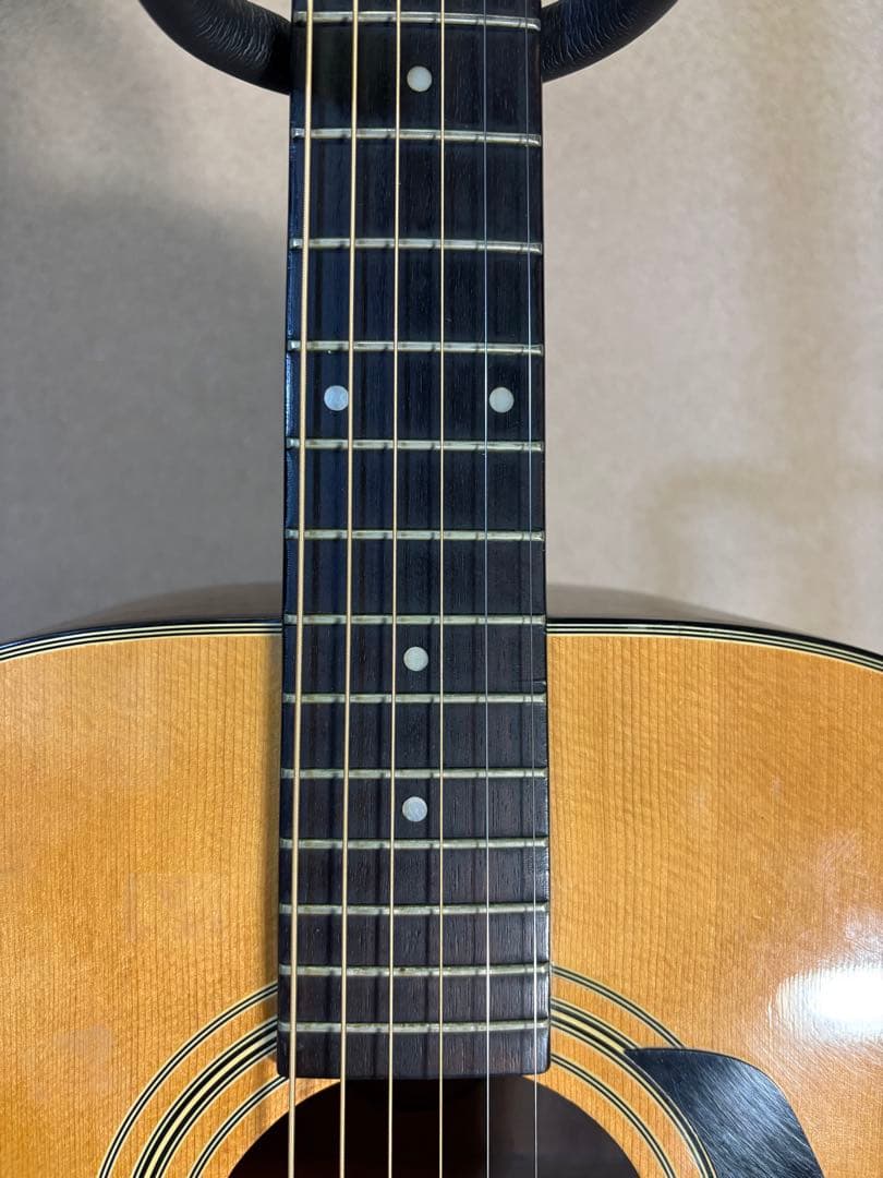 Morris MD-502 アコースティックギター