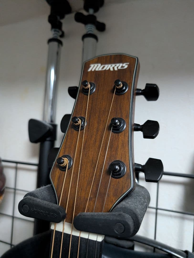 ギター Morris M-021 NAT