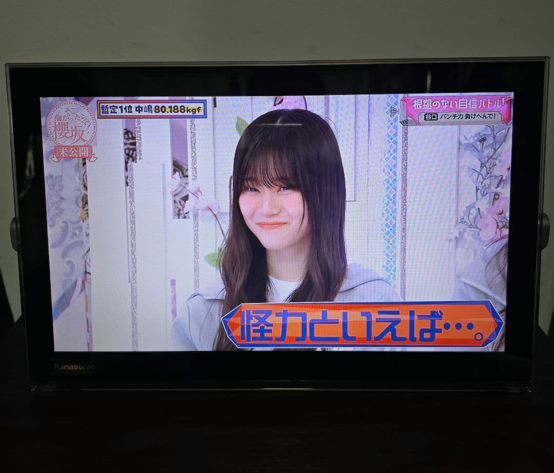プライベートビエラ　ブルーレイ再生機種チューナー　ポータブルテレビ
