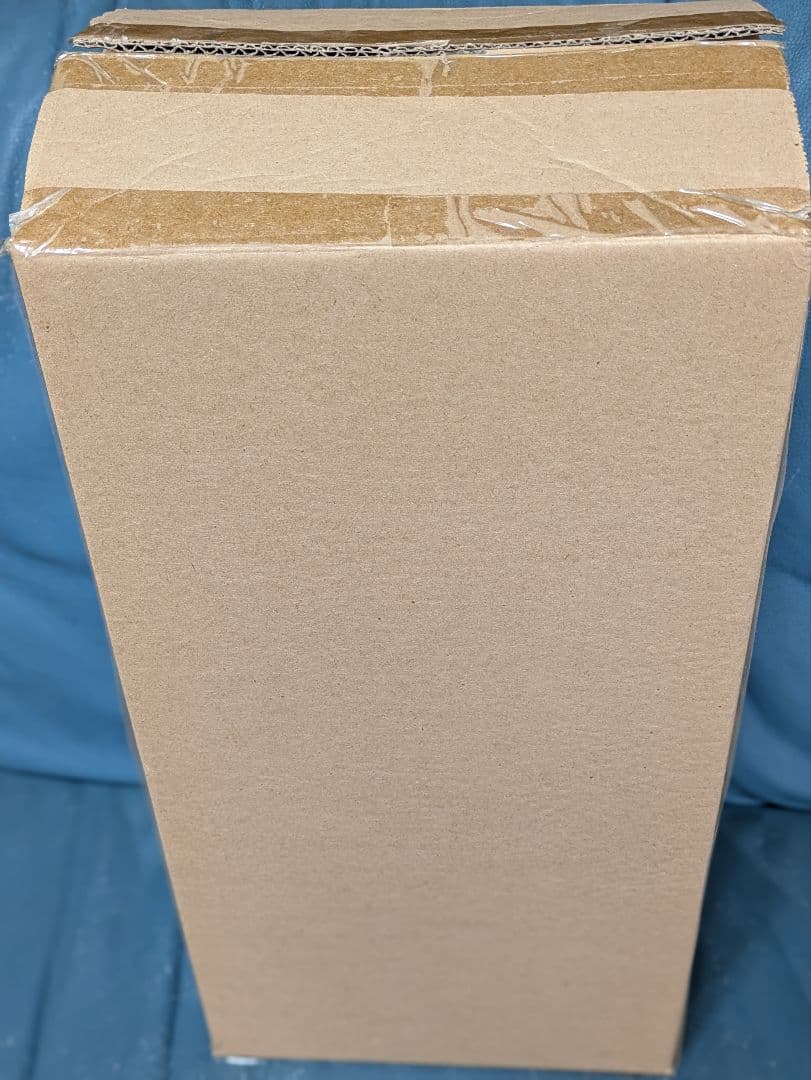 RAH DIO 初回購入特典商品　ザ・ワールド　ジョジョの奇妙な冒険