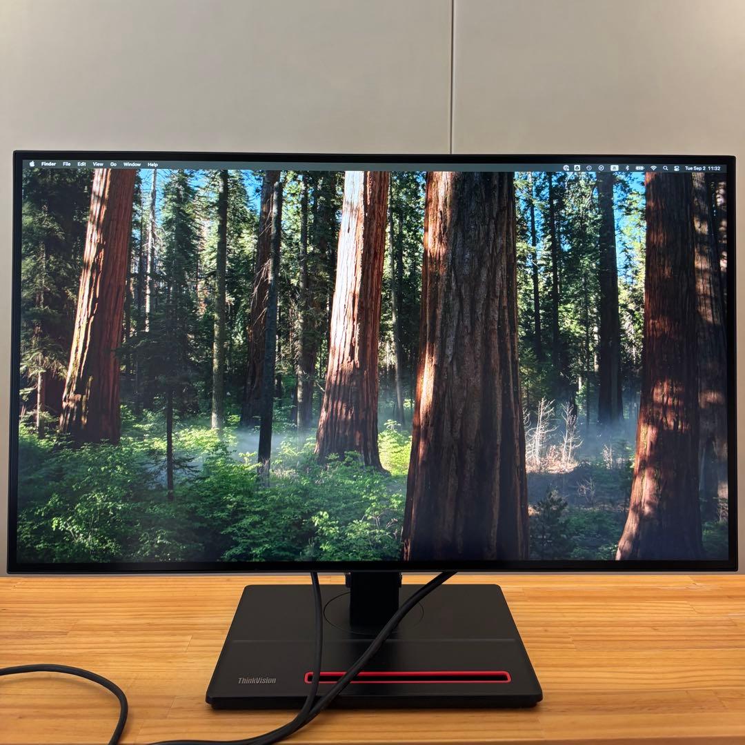 レノボ ThinkVision P27h-20 (61E9GAR6JP)