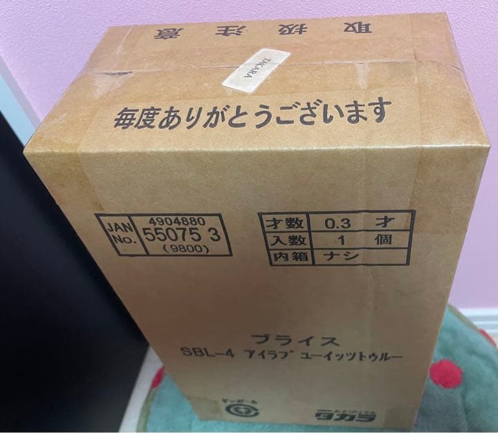 最終価格　段ボール未開封☆ネオブライス アイラブユーイットトゥルー完全新品未開封