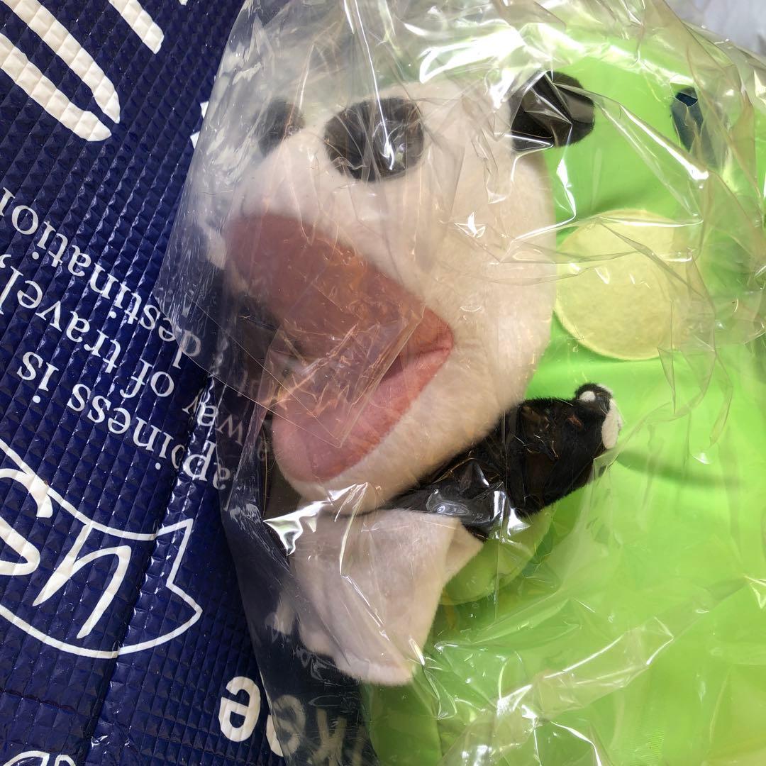 くちぱっち＆生茶パンダ付き　レア当選品