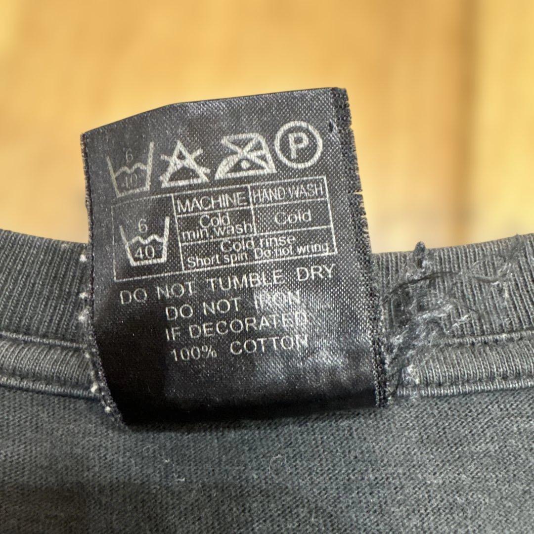 Rancid インデストラクティブル Tシャツ 2003年　ランシド