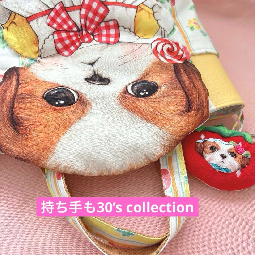 ゆ*ん様 両サイドポケット　新柄超ビッグあんこちゃん　コヤンイサムチョン　トート