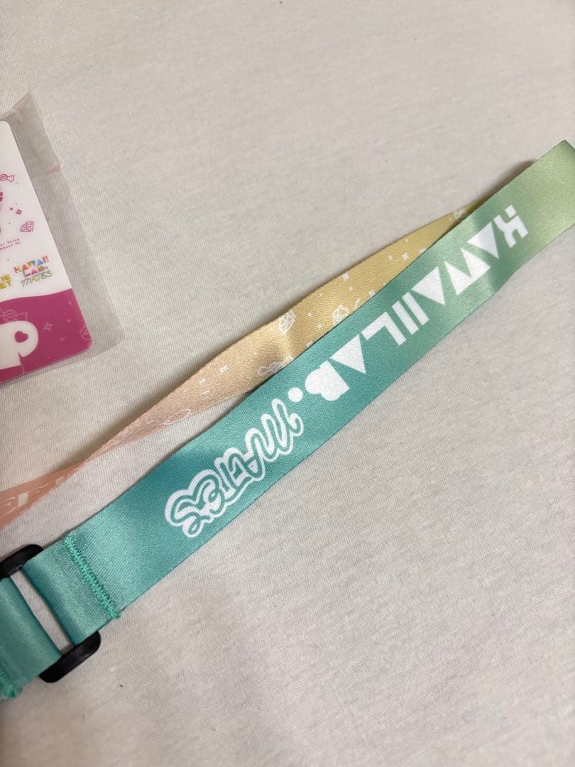 FRUITS ZIPPER CANDY TUNE ストラップ VIPパス付き