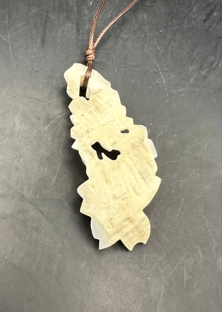 2026.2.26春桜爛漫　カリビアンコンク貝