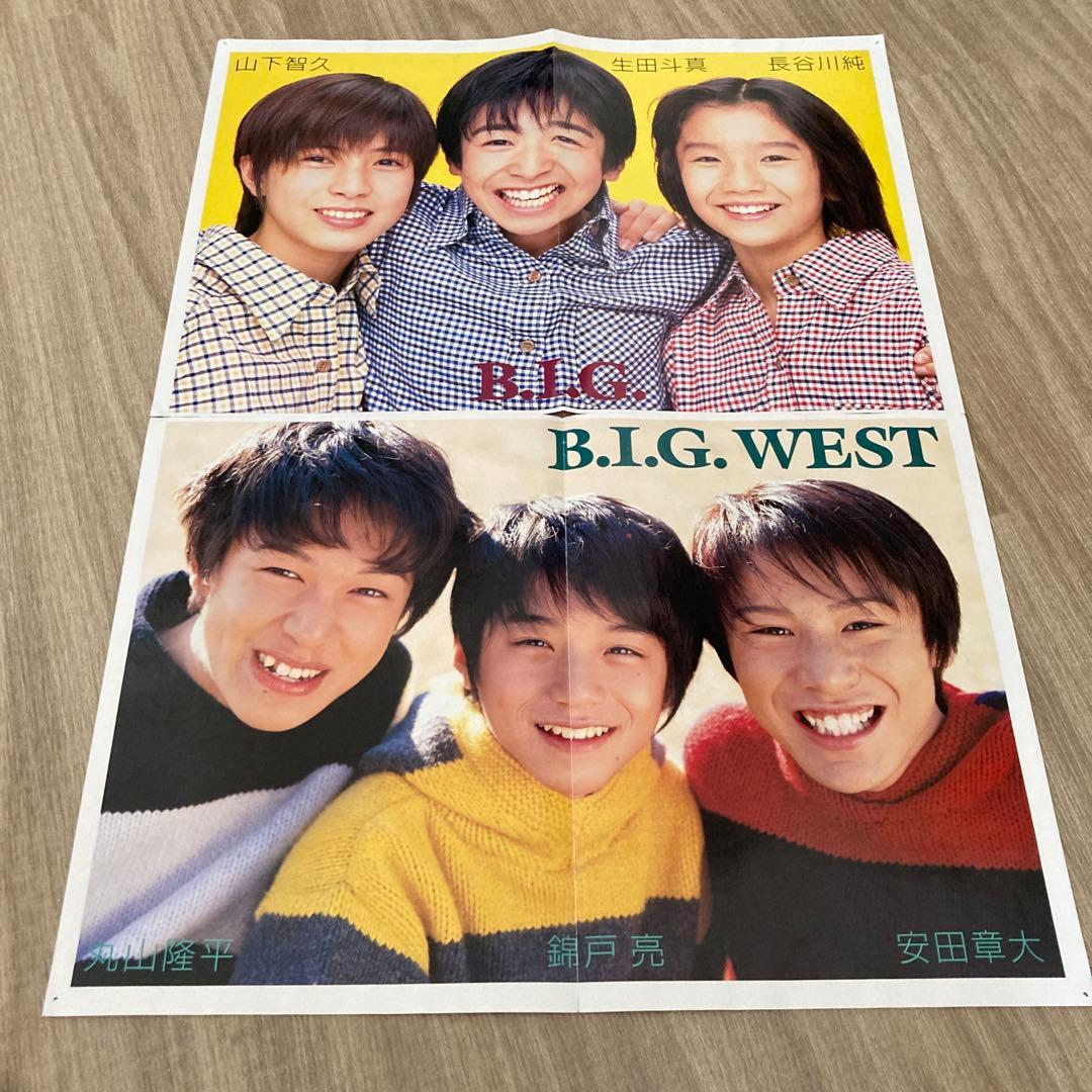 【匿名配送】ほぼ嵐ポスターセット