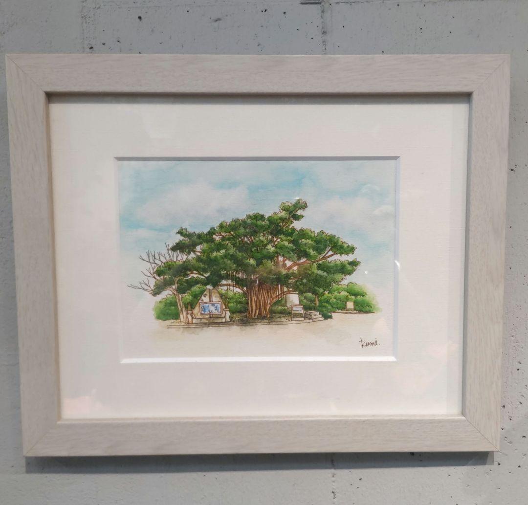 宮古島　ガジュマル　（水彩画）