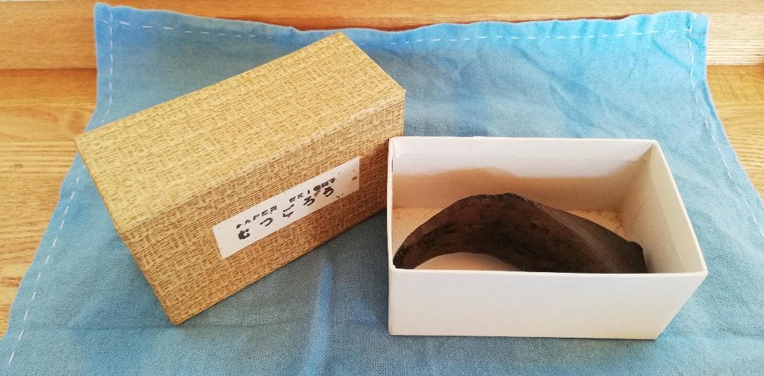 むつごろう置き物、ケース付き