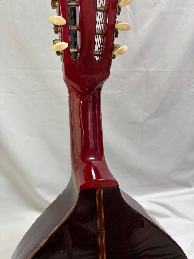 弦楽器 Oscar Schmidt Stella 12-string (1920s)