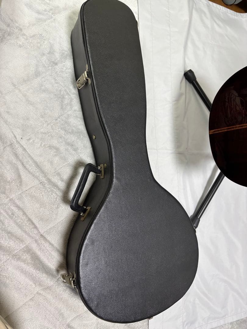 弦楽器 Oscar Schmidt Stella 12-string (1920s)