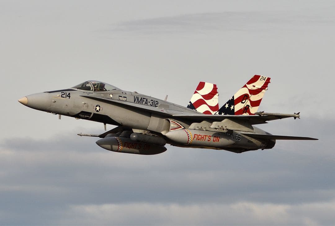 たぬき SIGMA APO 150-500mm F5-6.3 DG OS