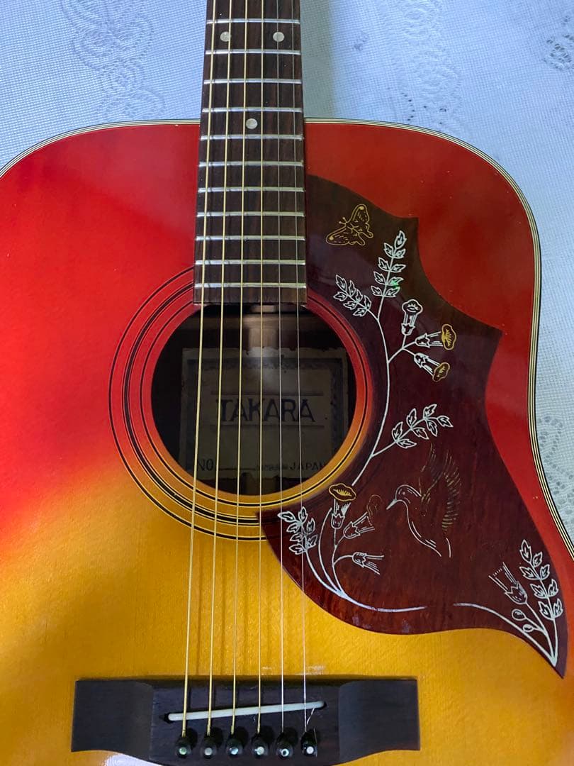 新春特価カントリーしようぜ！ハミングバードHottaエレアコ音出し良好