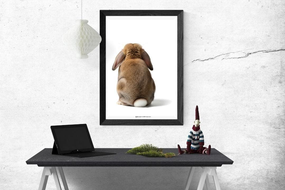 【約84cm】SIMRIDE アートポスター（超大型A1サイズ）ロップイヤー