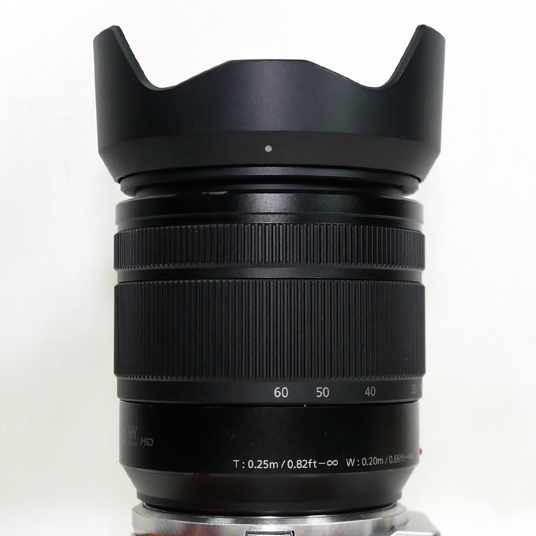 Panasonic Lumix 標準ズームレンズ H-FS12060
