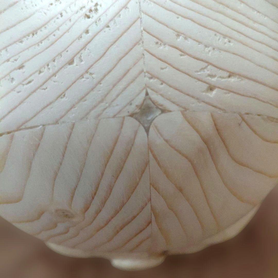 招き猫　手彫り　 約23cm