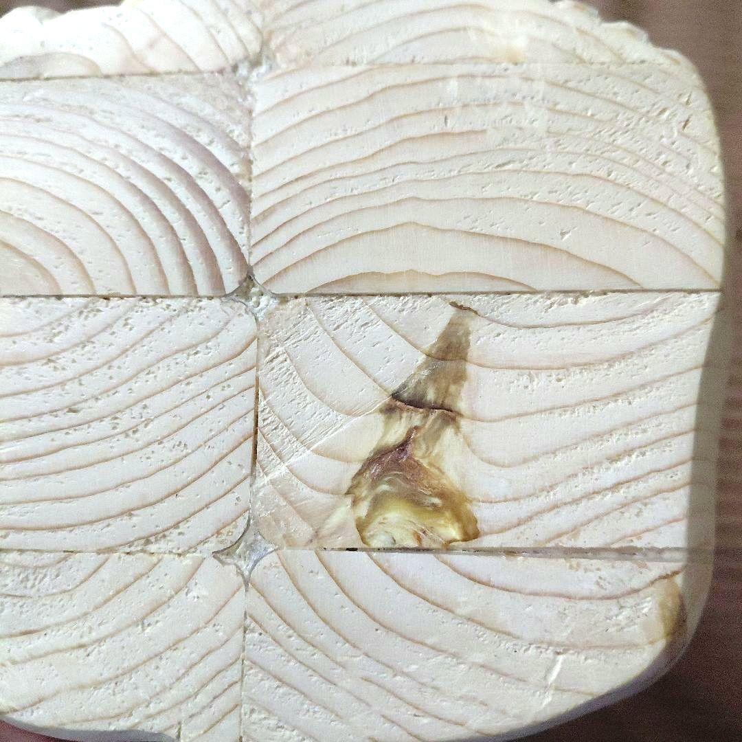 招き猫　手彫り　 約23cm