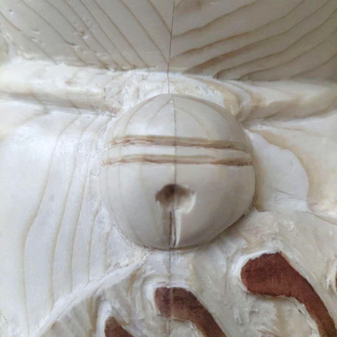 招き猫　手彫り　 約23cm