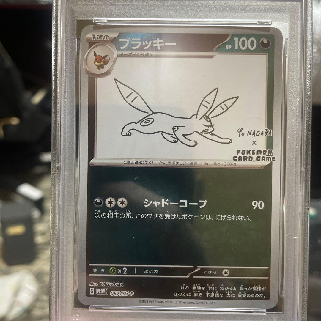 ブラッキープロモカードpsa10