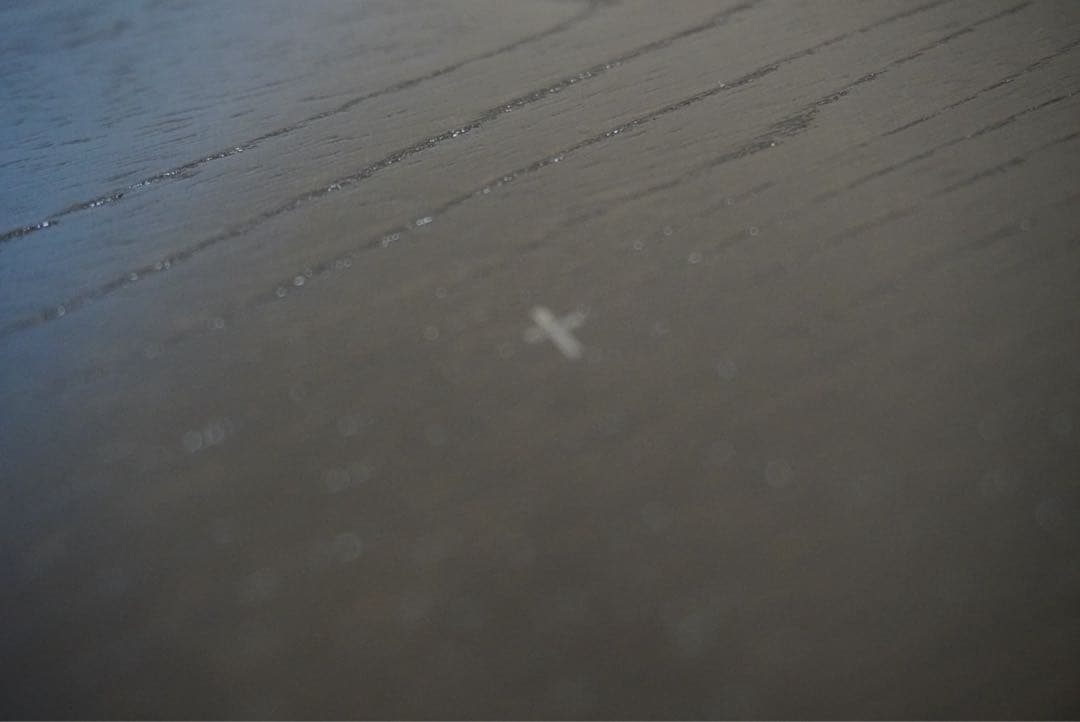 Time & Style Bon - 拭漆 - 輪花盆［美品］トレー　2点