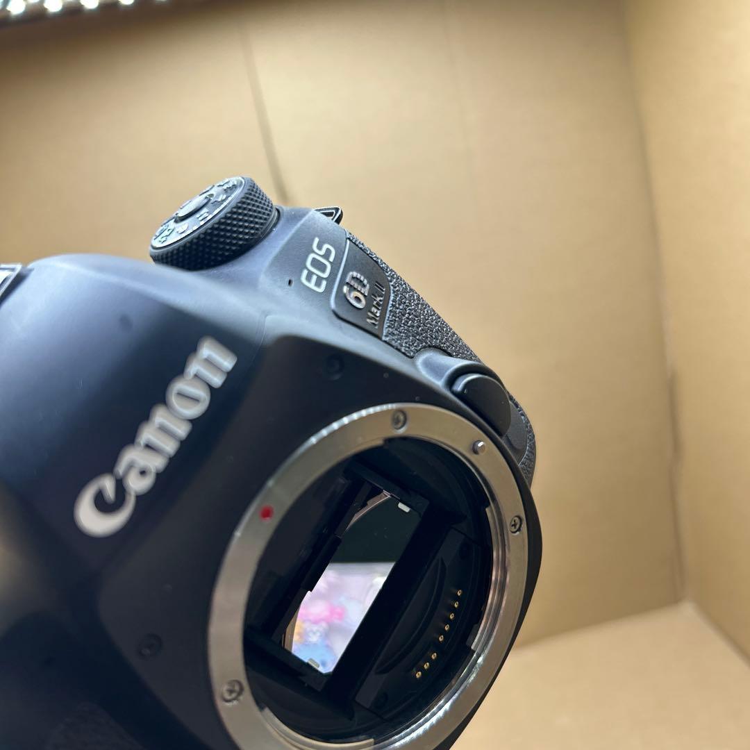 Canon デジタル一眼レフカメラ EOS 6D Mark II ボディー