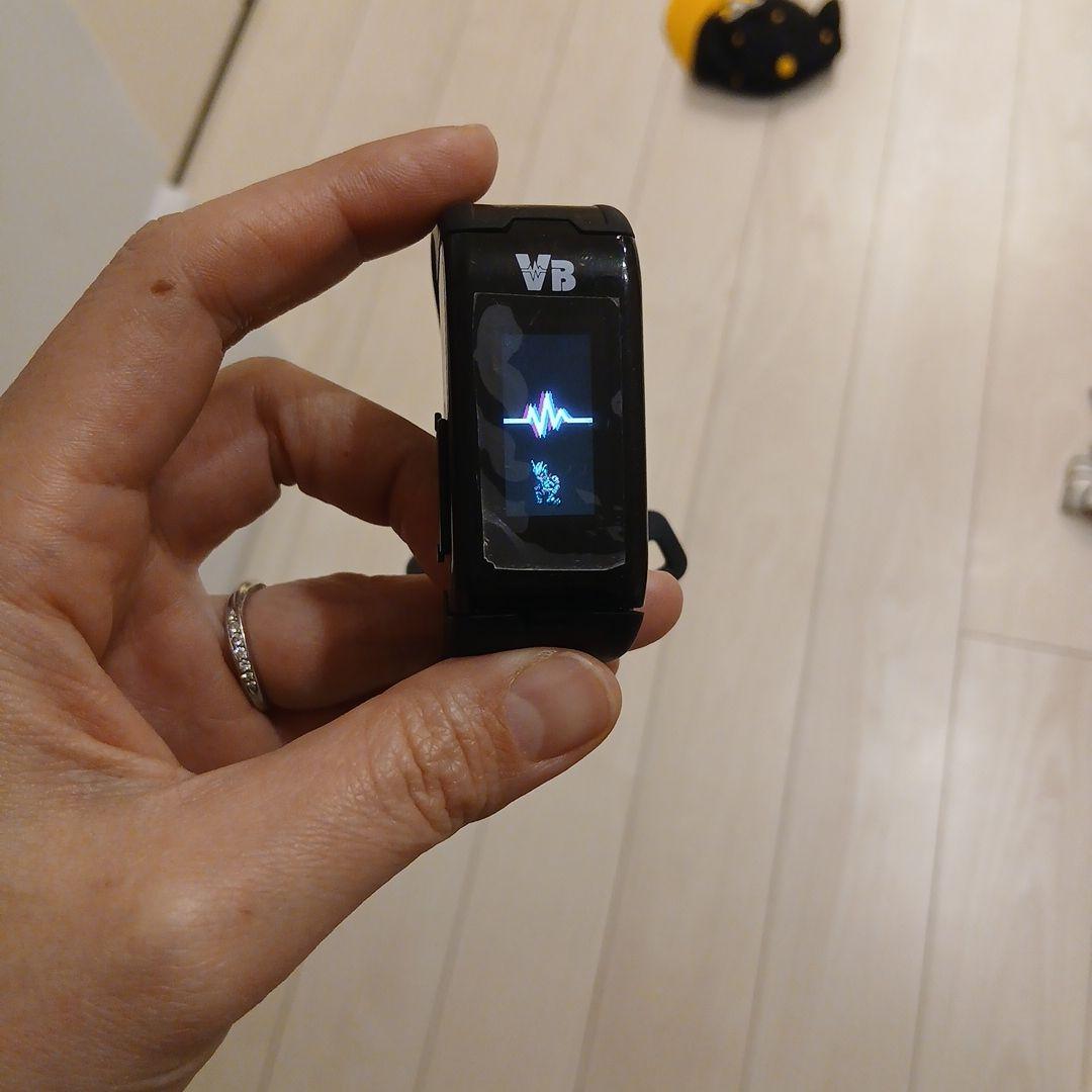 ゼットライザー　アクションフィギュア　メダル　キングジョー　バイタルブレス　百科