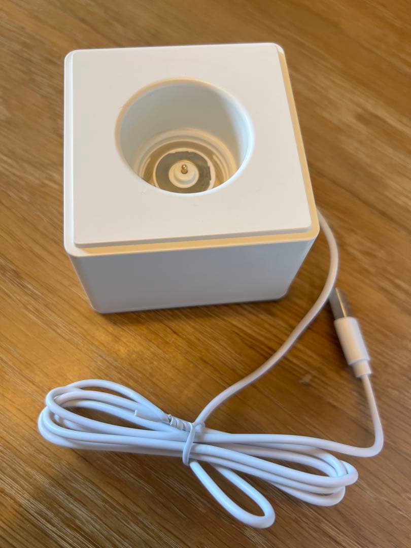 NIZIU ペンライト USB充電式