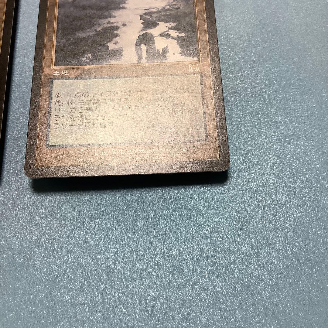 *バラ売り可* 汚染された三角州　 ONS日本語2枚セット