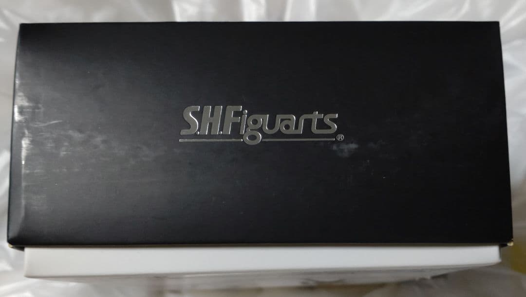 S.H.Figuarts（真骨彫製法）仮面ライダーアギト グランドフォーム