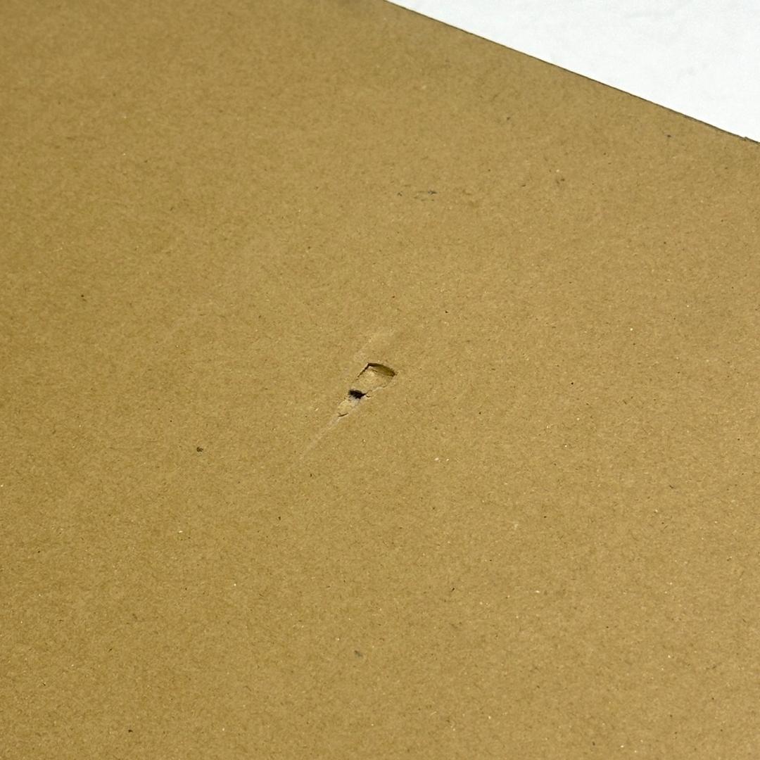 開封未使用 Saiko Design 二重提灯ペンダント 小梅白in小梅白