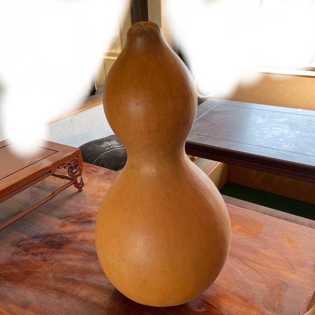 乾燥ひょうたん　 特大 天然素材　瓢箪ランプ　縁起もの46cm