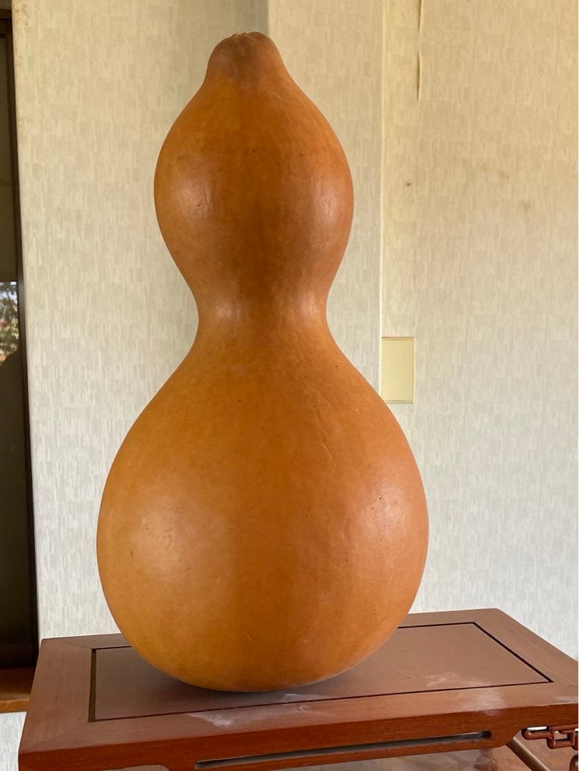 乾燥ひょうたん　 特大 天然素材　瓢箪ランプ　縁起もの46cm