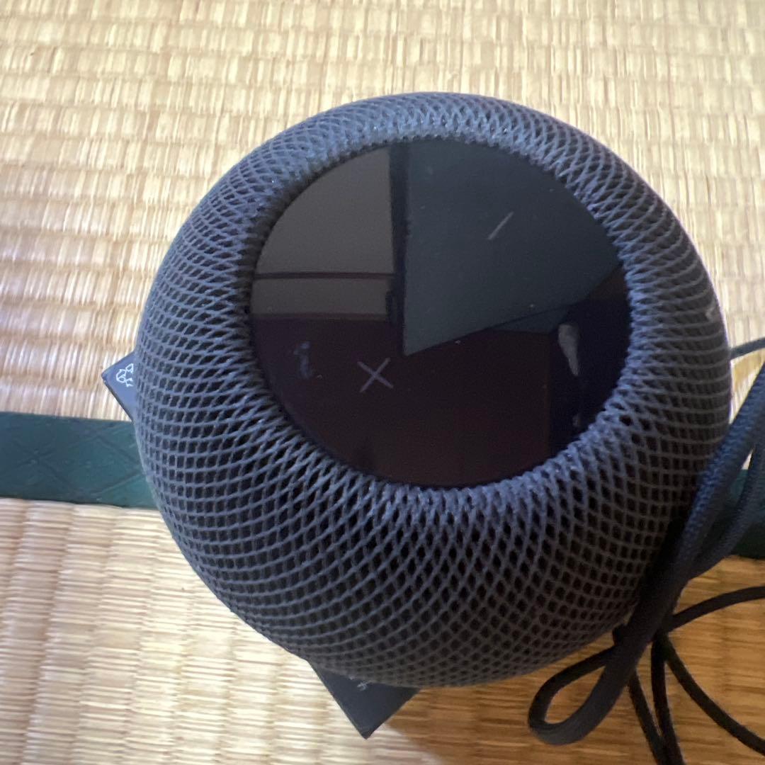 Apple Pod mini ブラック