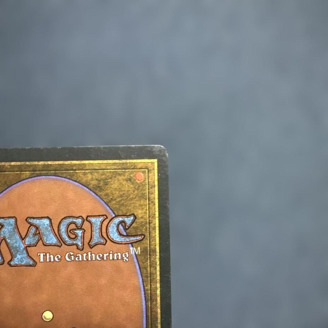 MTG アダーカー荒原 英語版２枚セット