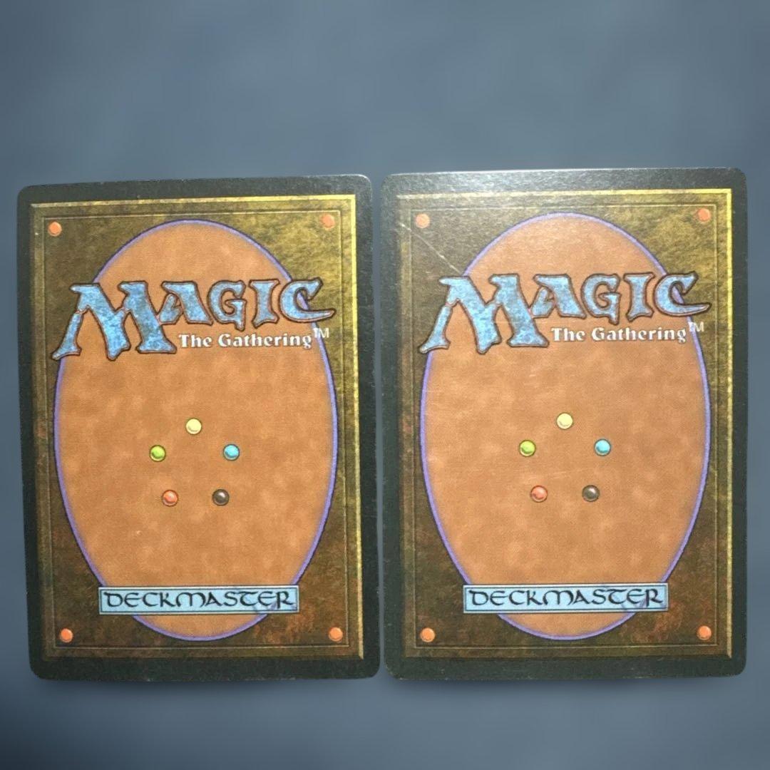 MTG アダーカー荒原 英語版２枚セット