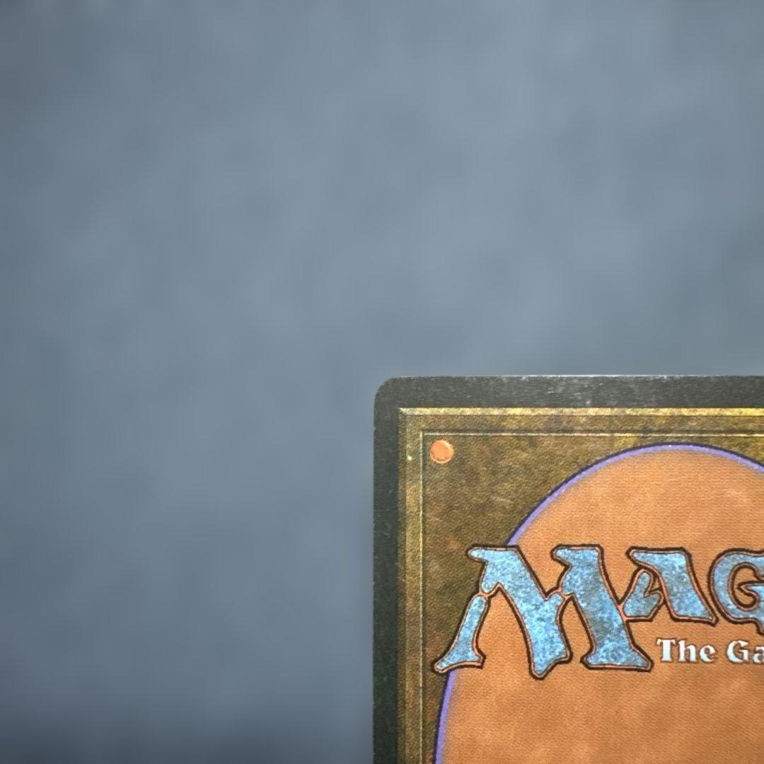 MTG アダーカー荒原 英語版２枚セット