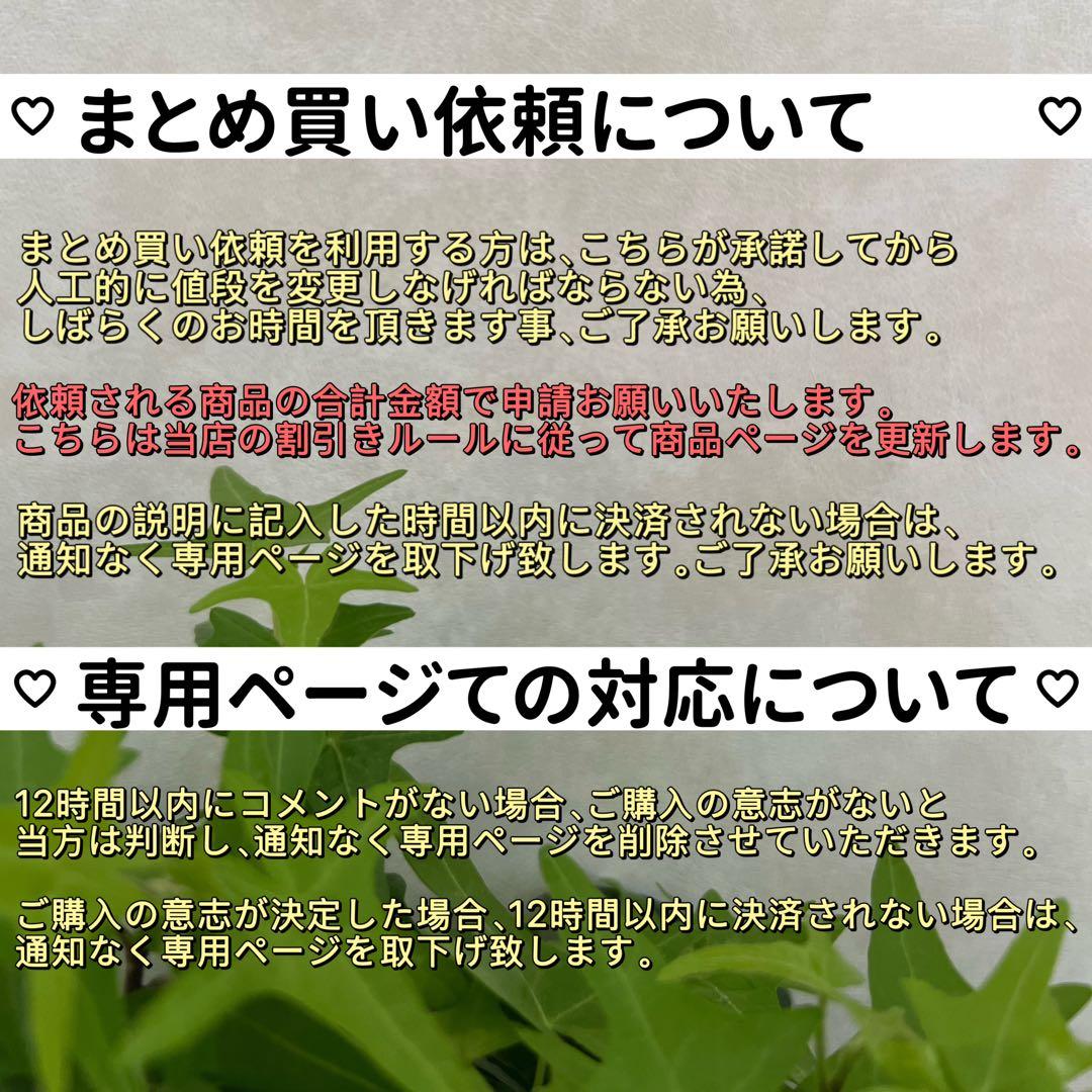 3点まとめ商品　オイスターパールペンダントトップ　フラットスクエアパールピアス