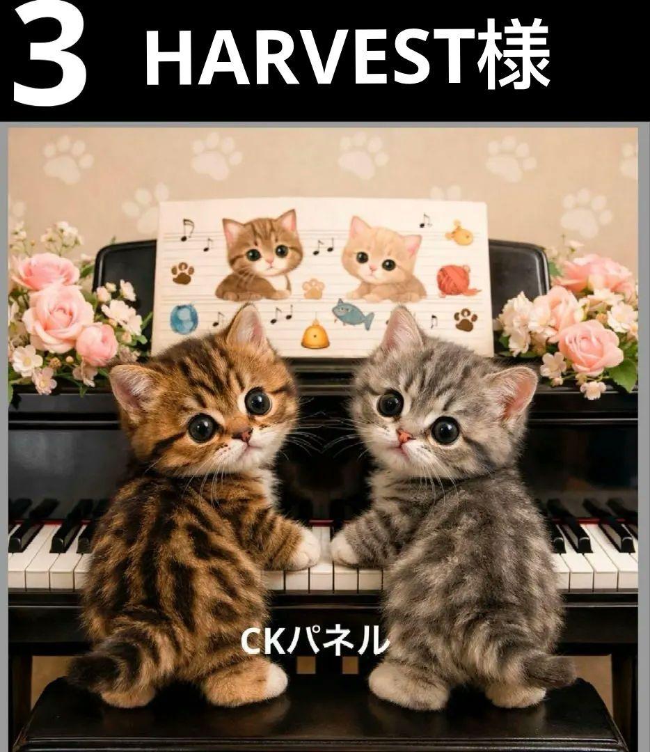 オーダーページ　ハンカチ　177 ピアノねこ柄　ハンドメイド2/15
