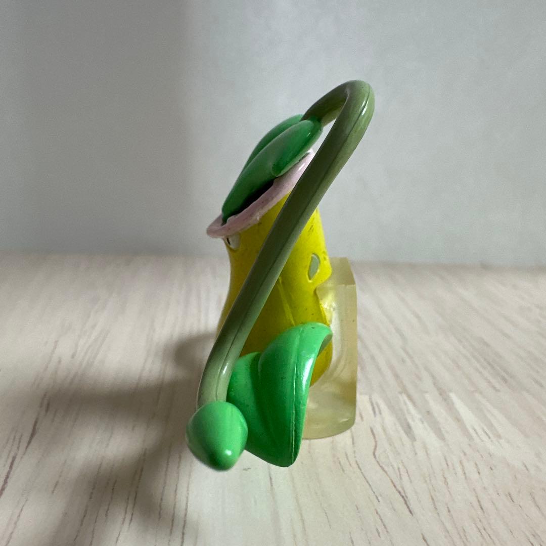 【希少】モンコレ初期 3点セット マダツボミ ウツドン ウツボット