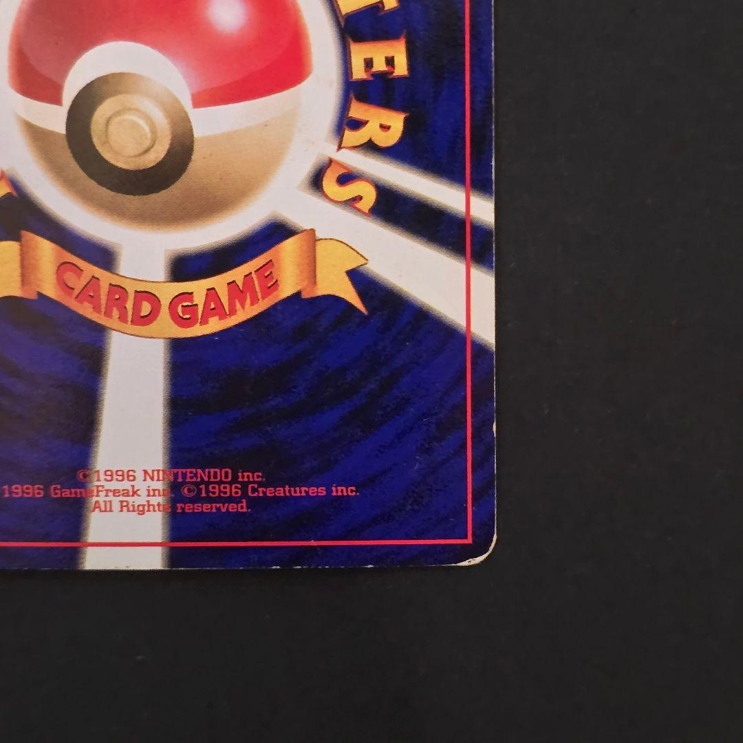 リザードン かえんポケモン✴ヒトカゲ&リザード付き✴写真充実✴第1弾