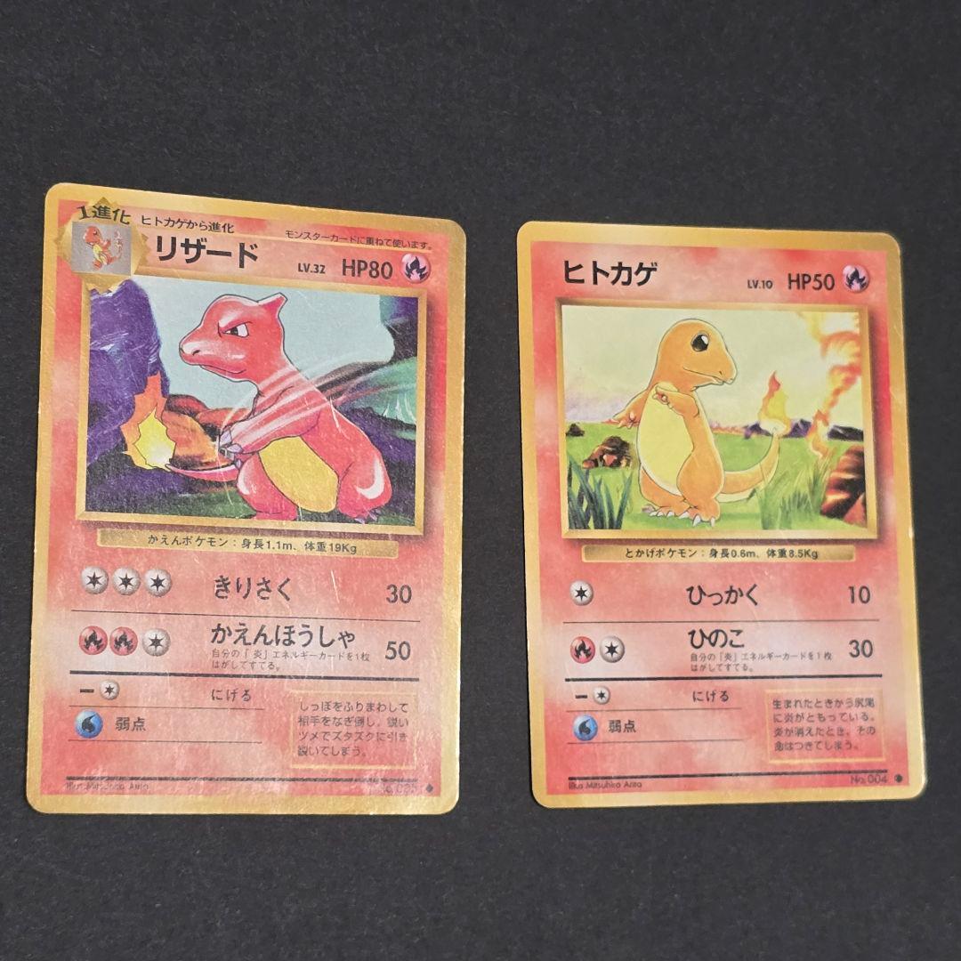 リザードン かえんポケモン✴ヒトカゲ&リザード付き✴写真充実✴第1弾