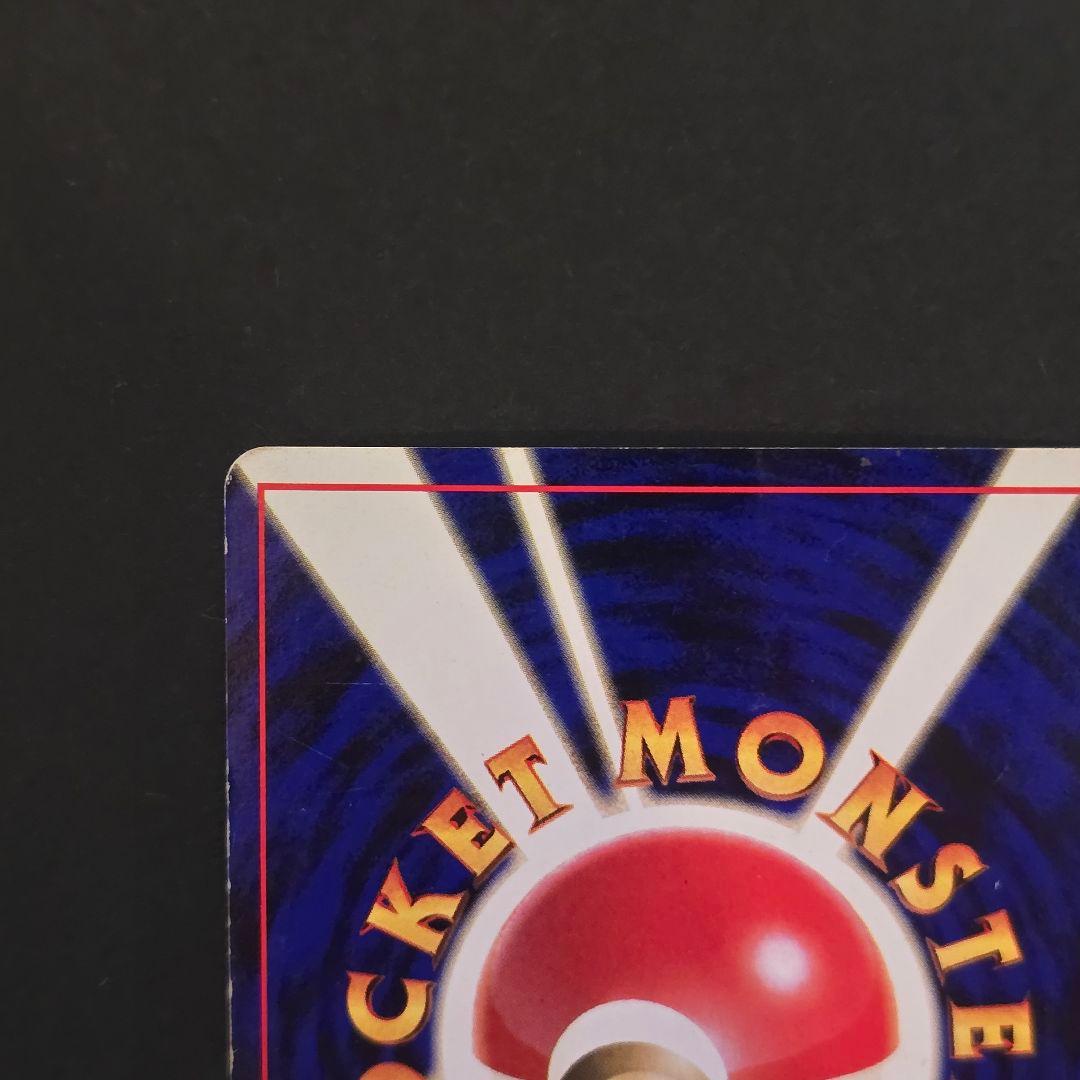 リザードン かえんポケモン✴ヒトカゲ&リザード付き✴写真充実✴第1弾