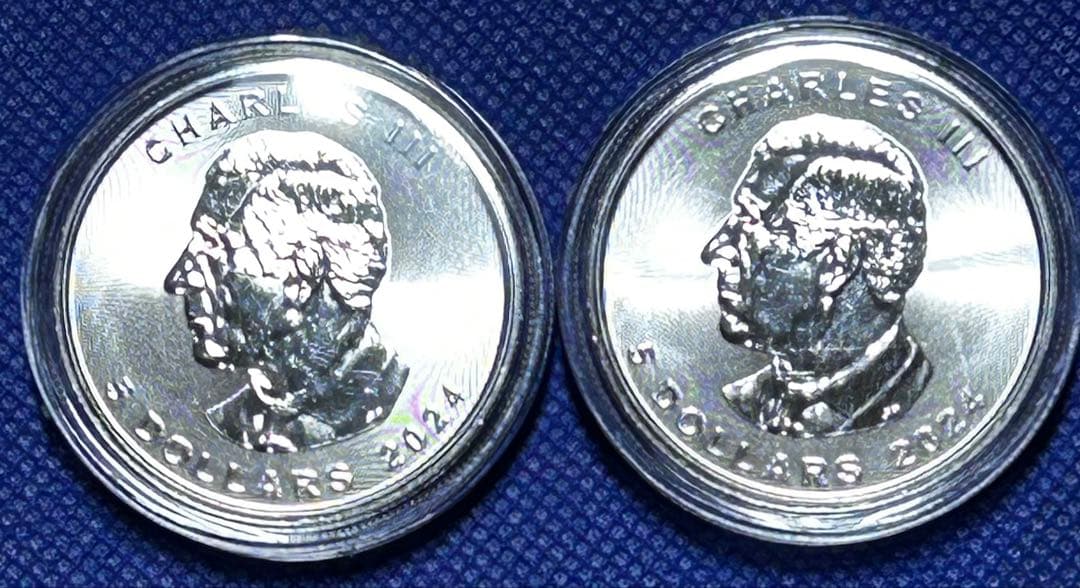 2枚 メイプルリーフ銀貨 2024年製 1オンス 31.1g ×2 純銀