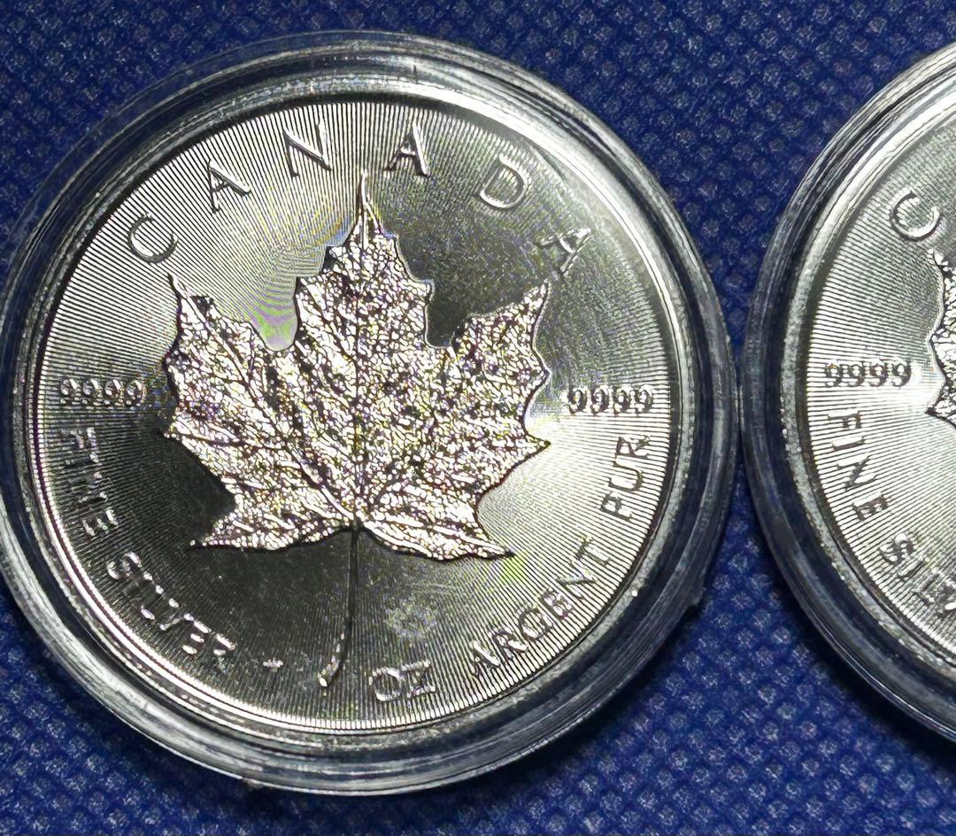 2枚 メイプルリーフ銀貨 2024年製 1オンス 31.1g ×2 純銀