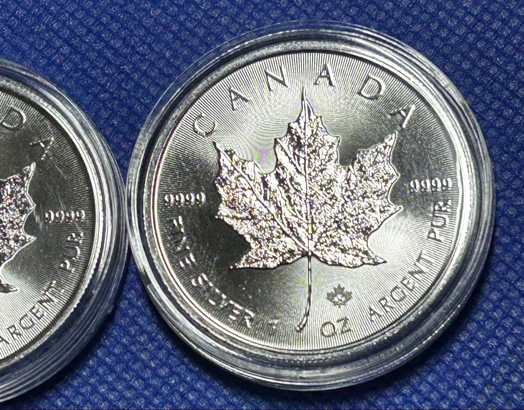 2枚 メイプルリーフ銀貨 2024年製 1オンス 31.1g ×2 純銀