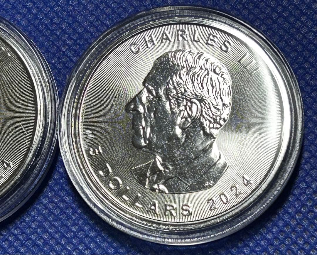 2枚 メイプルリーフ銀貨 2024年製 1オンス 31.1g ×2 純銀