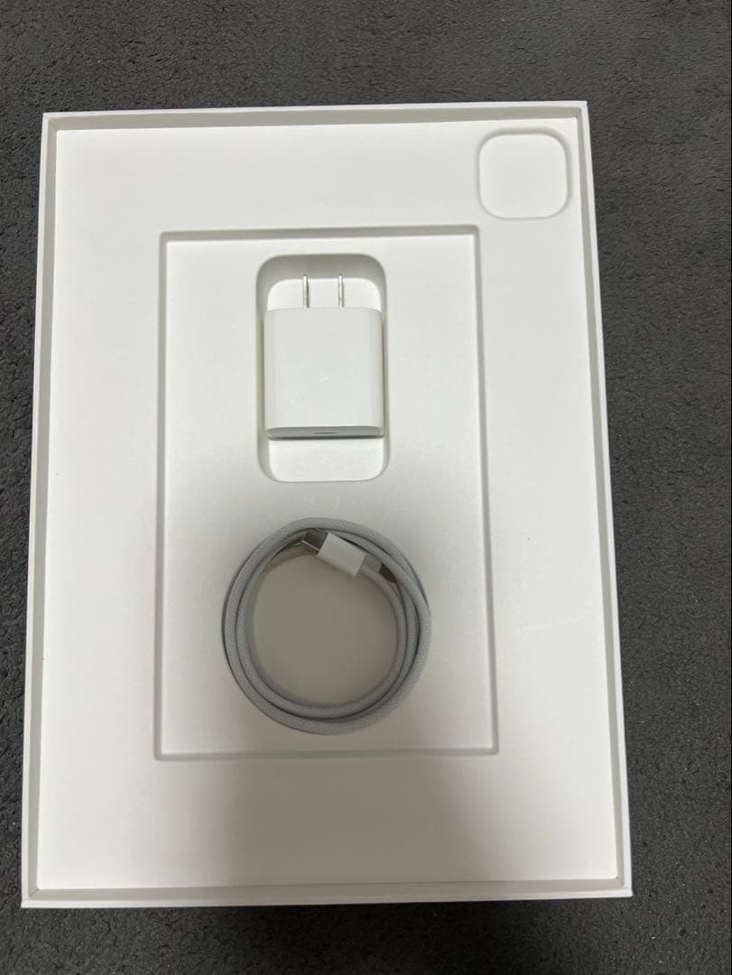 iPadPro 第4世代 11インチ WiFi 128GB